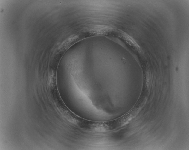 X0000067350073200604030944