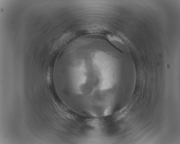 X0000067350074200604030944