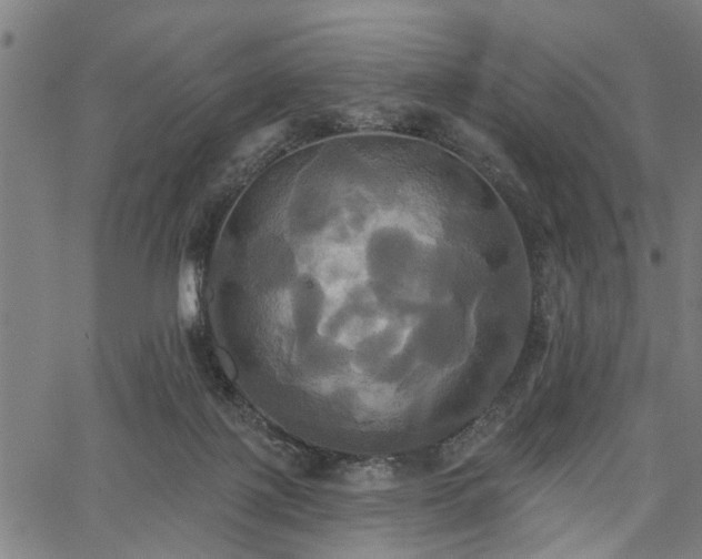 X0000067350075200604030944