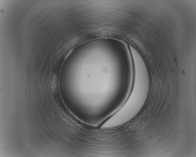 X0000067350077200604030944