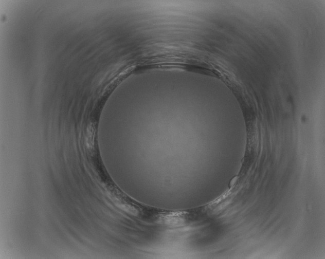 X0000067350078200604030944