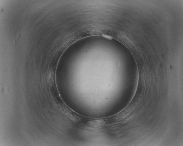 X0000067350079200604030944