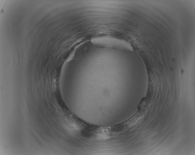 X0000067350080200604030944