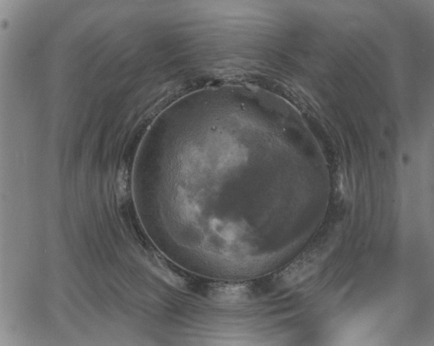 X0000067350081200604030944