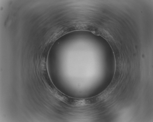 X0000067350083200604030944