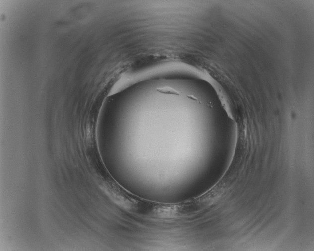 X0000067350084200604030944