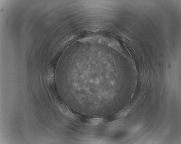 X0000067350085200604030944