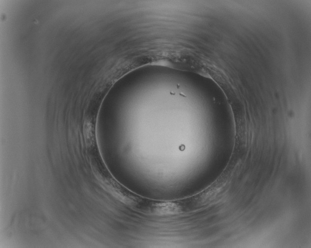 X0000067350087200604030944