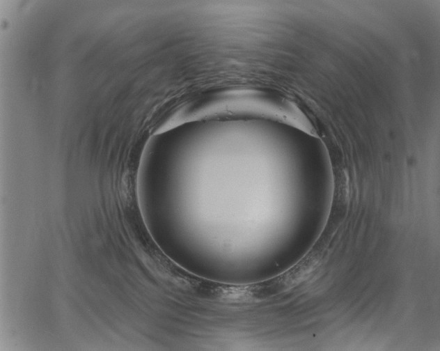 X0000067350088200604030945