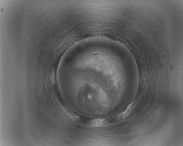 X0000067350090200604030945