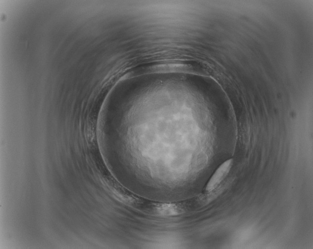 X0000067350091200604030945