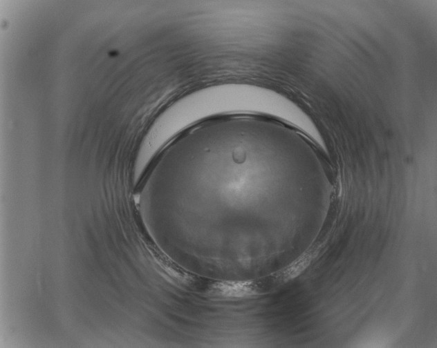 X0000067350093200604030945