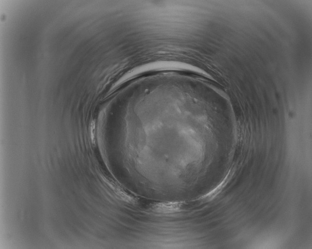 X0000067350094200604030945