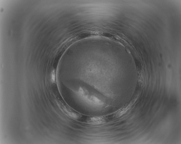 X0000067350095200604030945