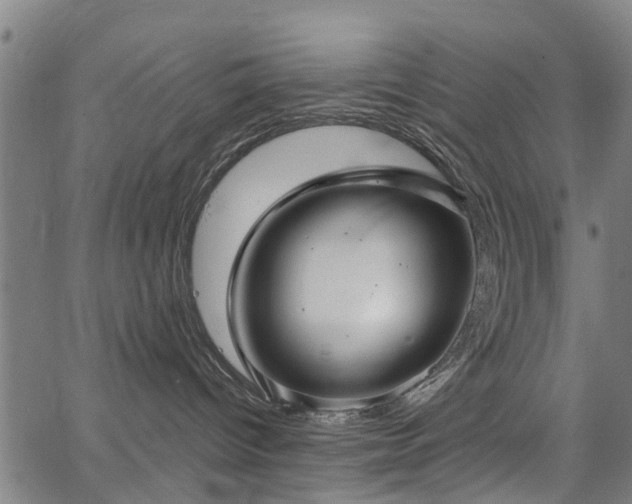 X0000067350096200604030945