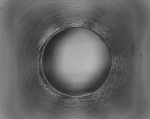 X0000067350098200604030944