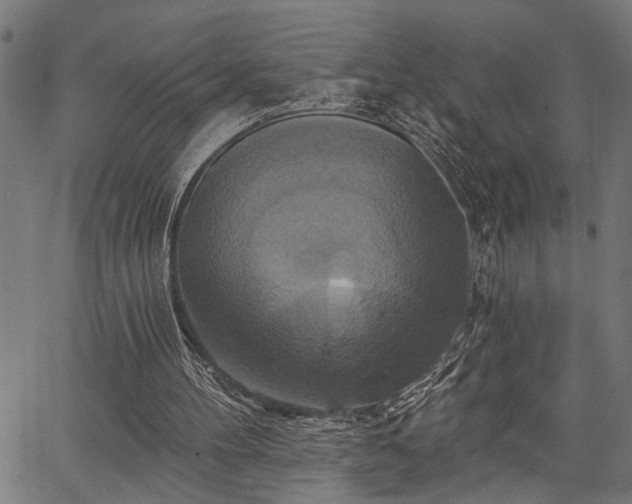 X0000067350100200604030944