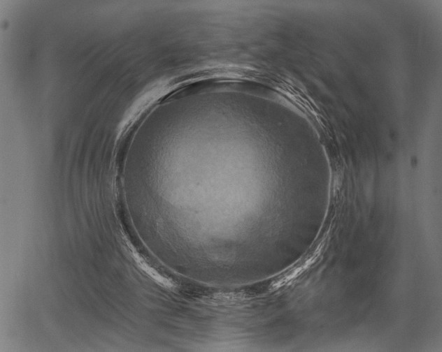 X0000067350101200604030944