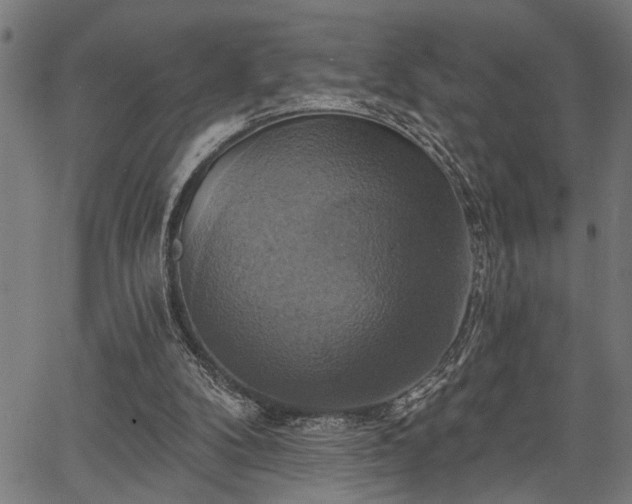 X0000067350104200604030944