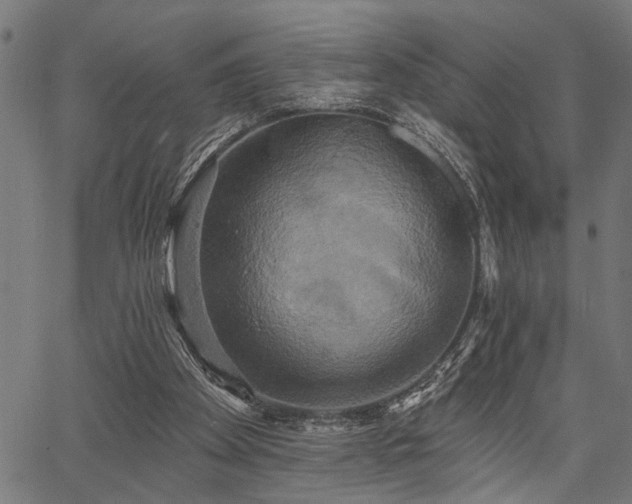 X0000067350105200604030944