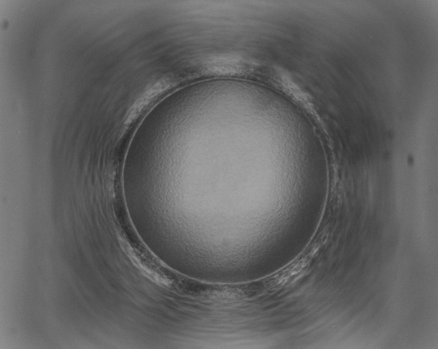 X0000067350106200604030944