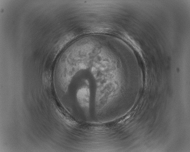 X0000067350107200604030944