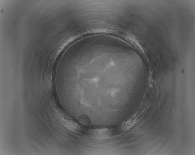 X0000067350108200604030944