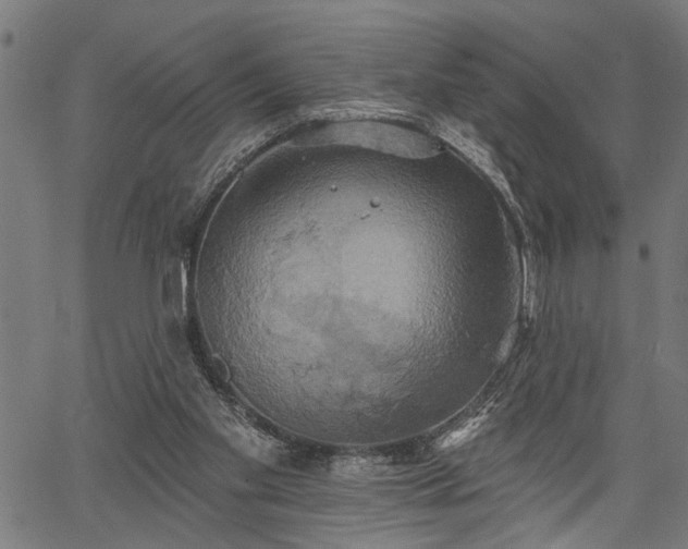 X0000067350109200604030944