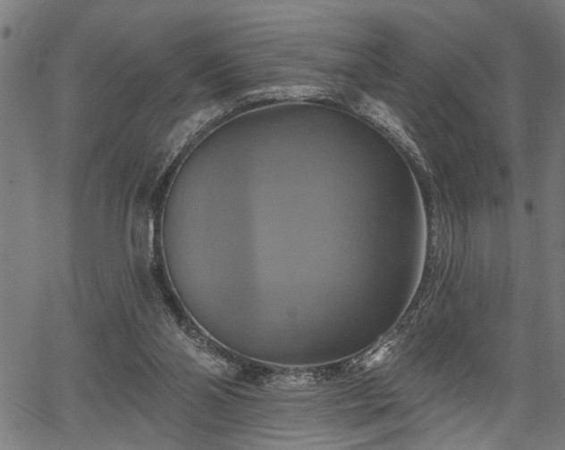 X0000067350110200604030944