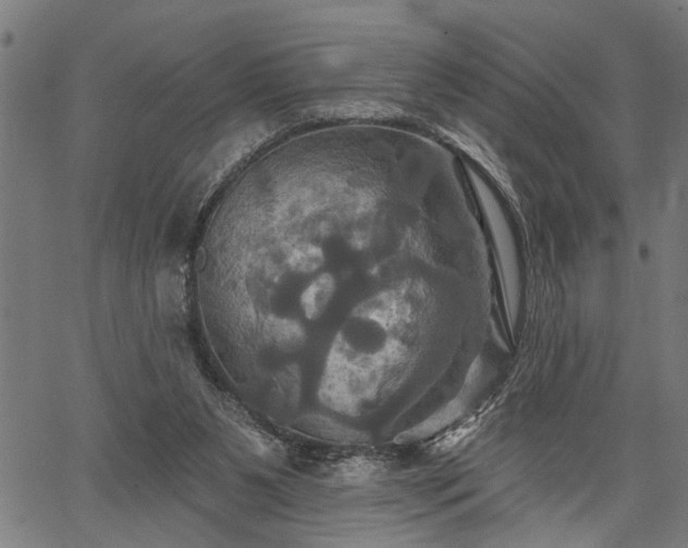 X0000067350111200604030944