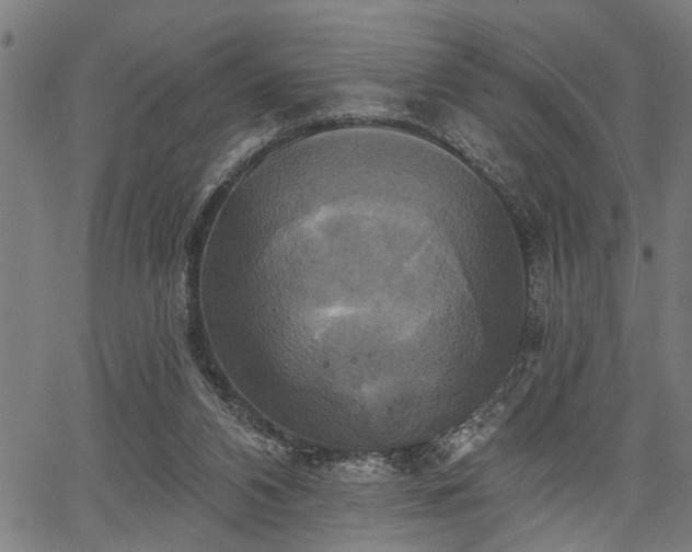 X0000067350112200604030944