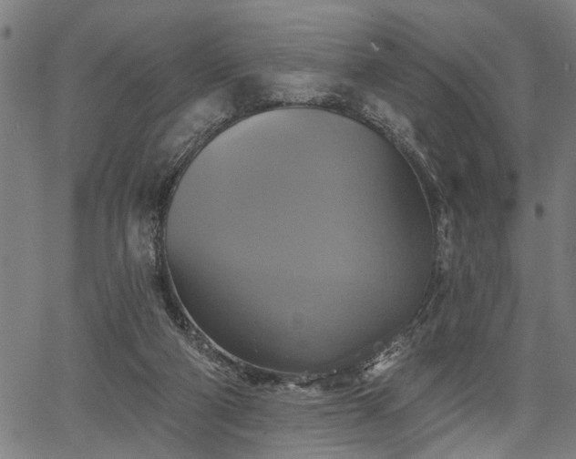 X0000067350114200604030944