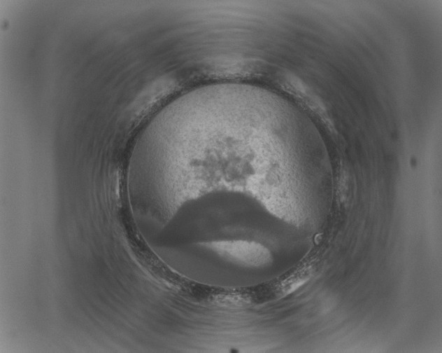 X0000067350115200604030944