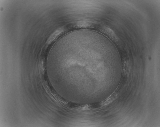 X0000067350116200604030944