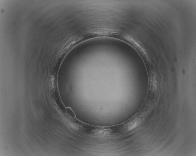 X0000067350117200604030944