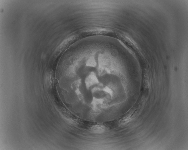 X0000067350119200604030944