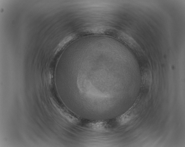 X0000067350120200604030943