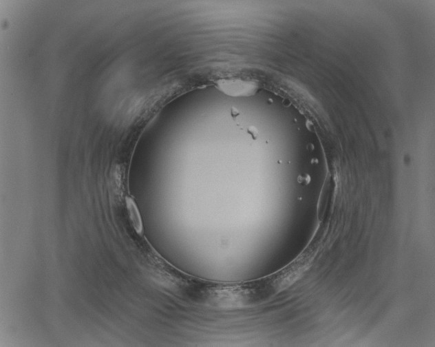 X0000067350121200604030943