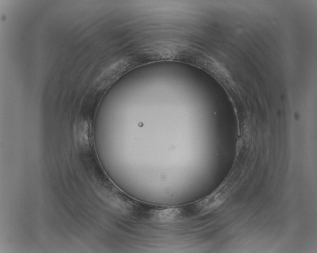 X0000067350122200604030943