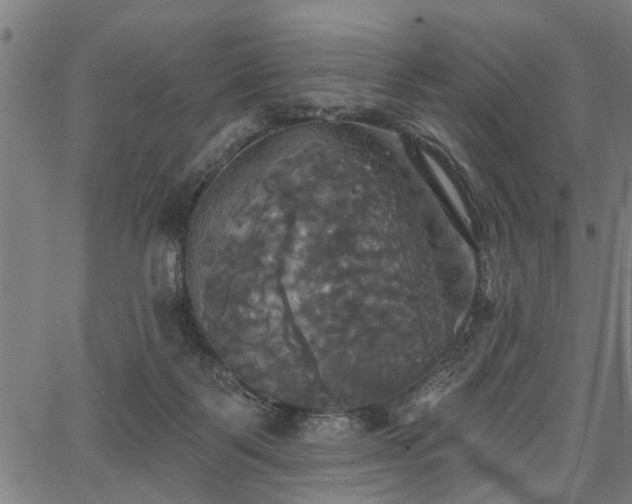 X0000067350123200604030943