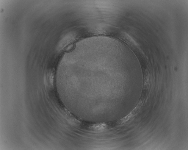 X0000067350124200604030943