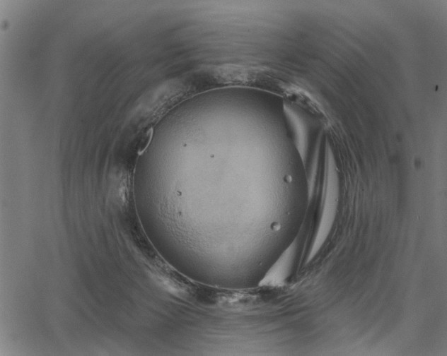 X0000067350125200604030943