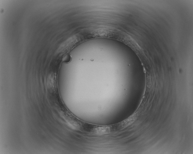 X0000067350126200604030943