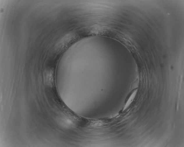 X0000067350127200604030943