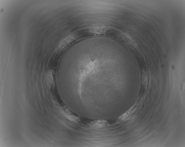 X0000067350128200604030943