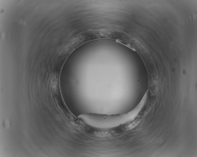 X0000067350129200604030943