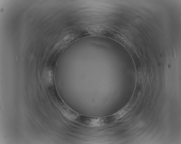 X0000067350130200604030943