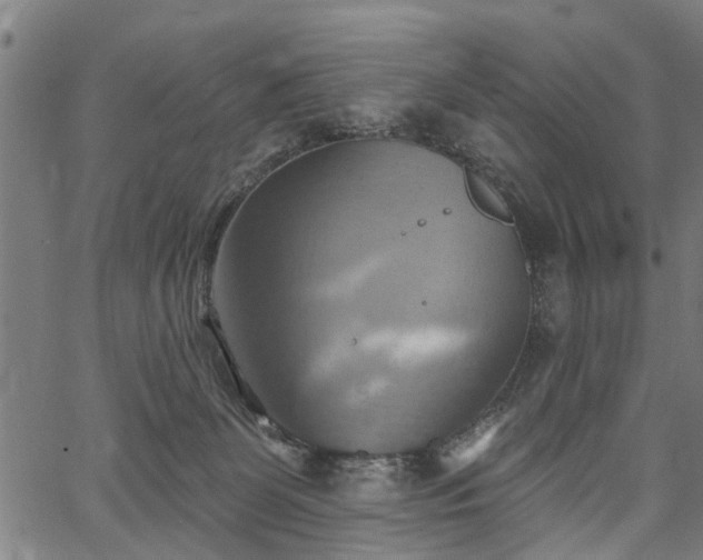 X0000067350131200604030943