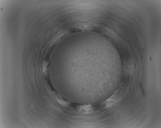 X0000067350132200604030943