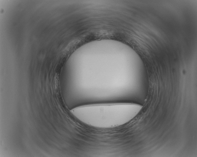 X0000067350133200604030943